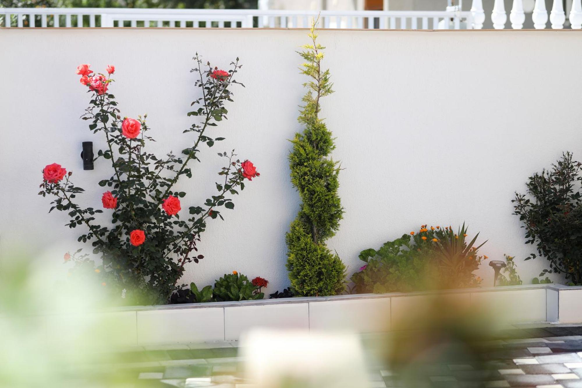 Vila Feliz - Premium Rooms With Free Private Parking Vlorë Exterior foto